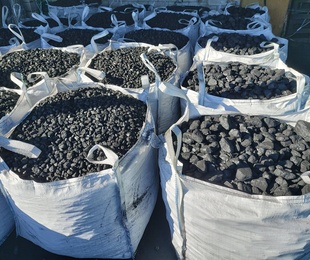 Carbón mineral y leña (encina y roble)